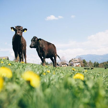 Alpin Farm Birke - Oberweidacherhof Collalbo Zewnętrze zdjęcie