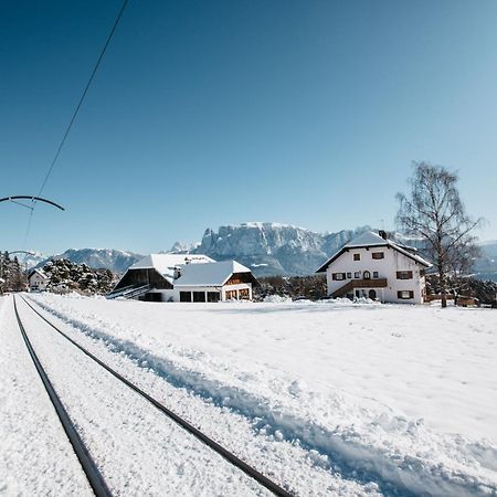 Alpin Farm Birke - Oberweidacherhof Collalbo Zewnętrze zdjęcie