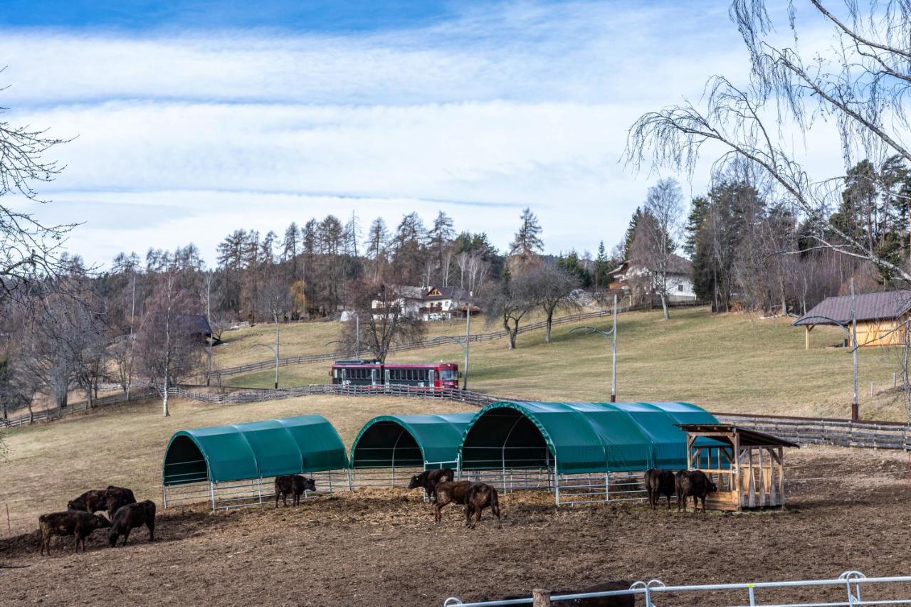 Alpin Farm Birke - Oberweidacherhof Collalbo Zewnętrze zdjęcie