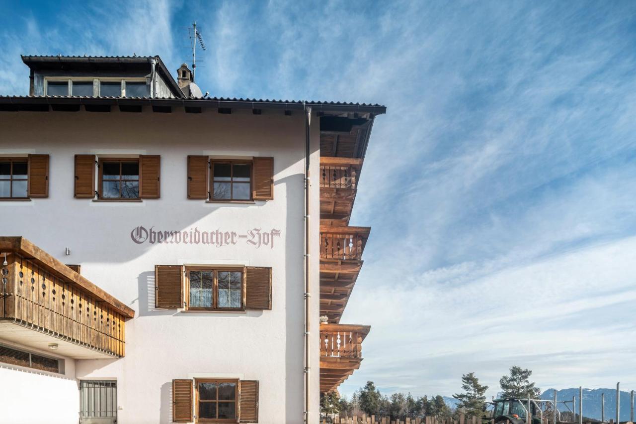 Alpin Farm Birke - Oberweidacherhof Collalbo Zewnętrze zdjęcie
