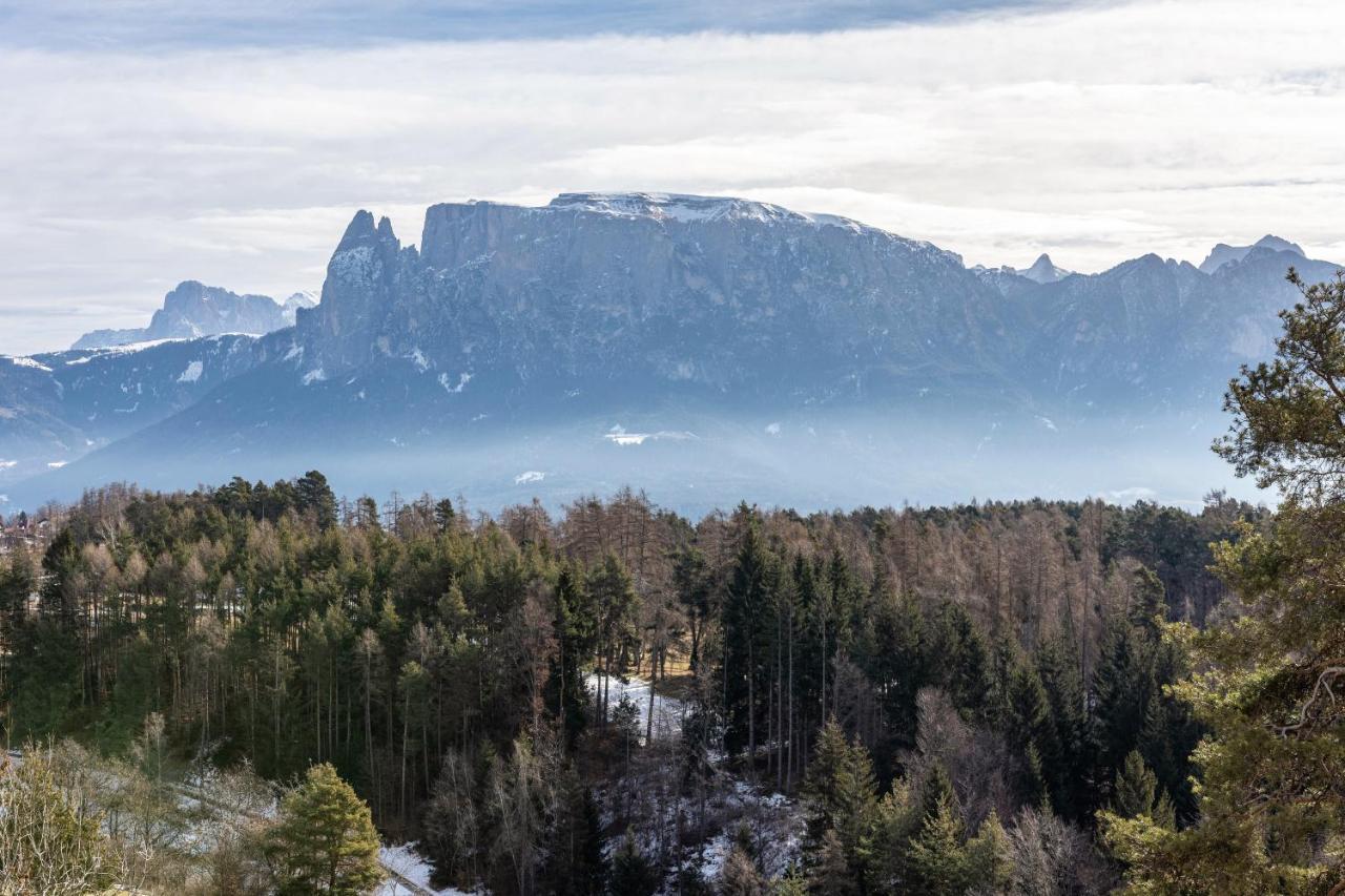 Alpin Farm Birke - Oberweidacherhof Collalbo Zewnętrze zdjęcie