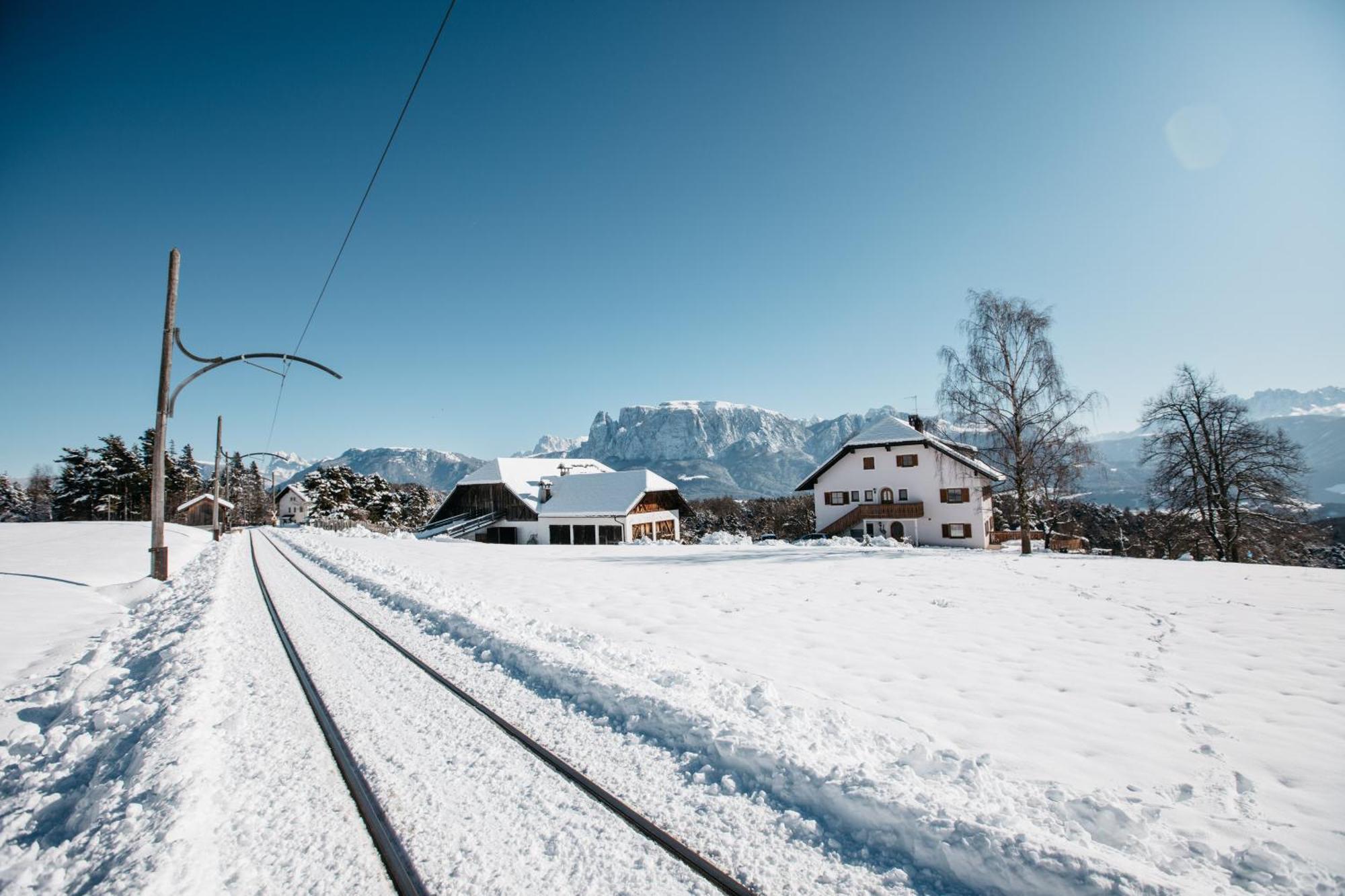 Alpin Farm Birke - Oberweidacherhof Collalbo Zewnętrze zdjęcie